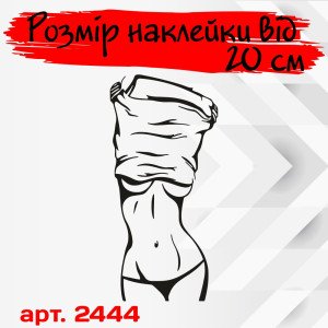 Вінілова наклейка на автомобіль - Дівчина | Girl v7